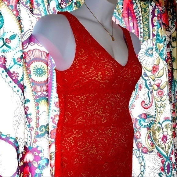 Beautiful BeBe Orange Lace and Nude Dress - Picture 2 of 9